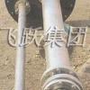 江苏飞跃机泵有限公司 FY液下泵